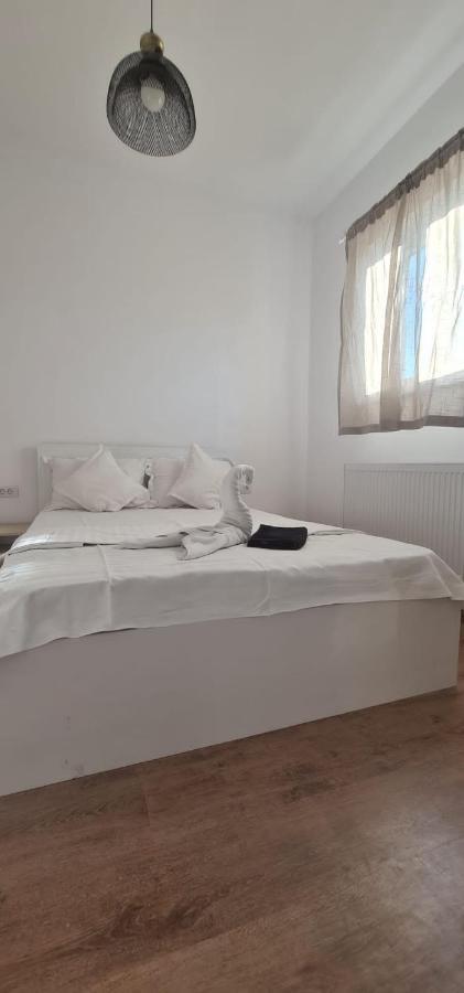 Gca Victoriei Apartamento